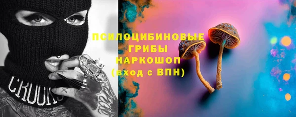 первитин Кукмор