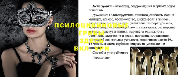 первитин Кукмор